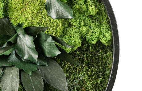 Quadro circolare in moss stabilizzato modello giungla