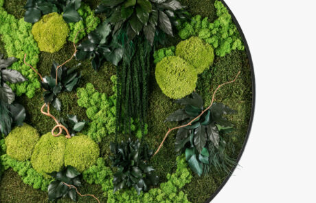 Quadro circolare in moss stabilizzato modello giungla
