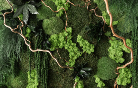 Dettaglio Quadro vegetale in muschi e fronde naturali stabilizzati by Verde Passione diametro 140 cm