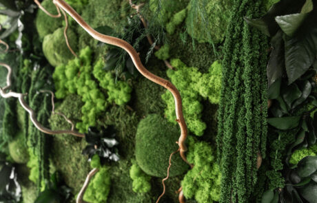 Quadro vegetale in muschi e fronde naturali stabilizzati by Verde Passione