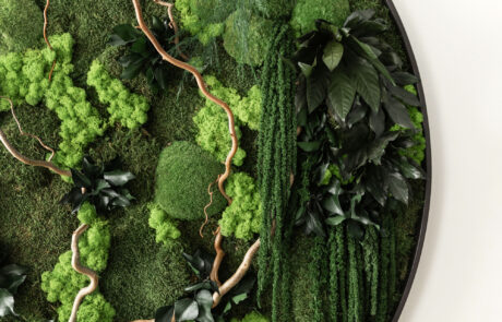 Quadro vegetale in muschi e fronde naturali stabilizzati by Verde Passione